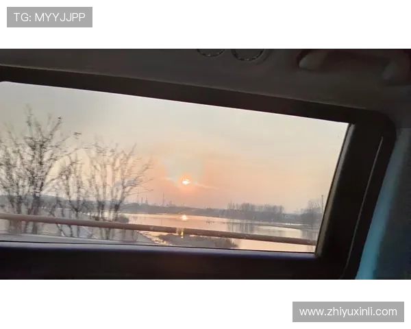 告别武汉三镇的温暖时光感恩这段旅程的每一个瞬间